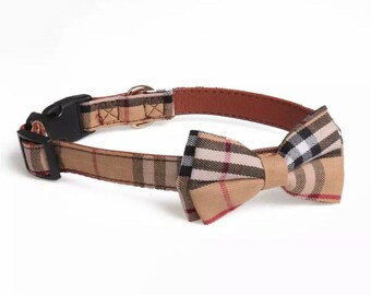 gucci dog collar amazon