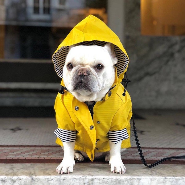 Dog Raincoat with Pockets