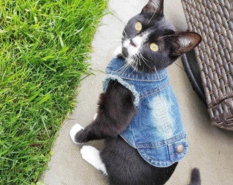 SILD Coole Vintage Washed Denim Jacke Jumpsuit Blau Jean Kleidung für kleine Haustiere Hund Katze/3 Styles XS-XXL