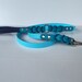 see more listings in the Standard Leashes section