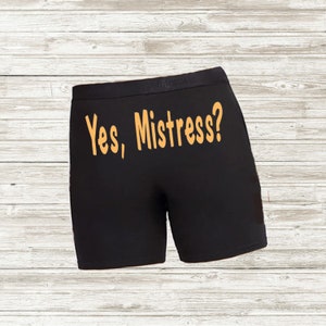 Men Boxer Brief Yes, Mistress