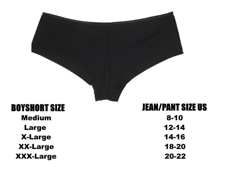 Sissy Boy Plus Size Boyshort or Mid Rise Brief image 4