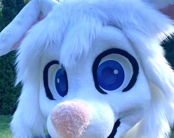 Fursuit Head