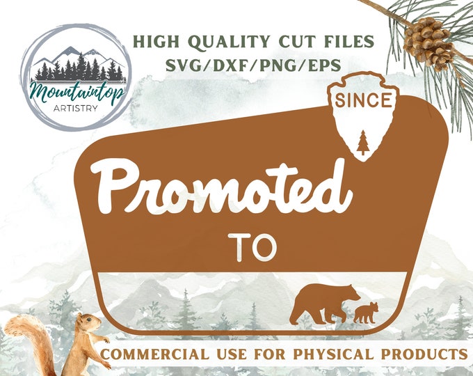 Customizable National Park Sign, Promoted To Sign, National Park Gifts, National Park Theme