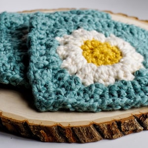 Crochet Daisy Kitchen Potholders (set of 2)