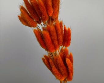バーントオレンジのドライフラワー、テラコッタのドライフラワーブーケ、秋の花、オレンジ色のドライフラワー