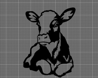 Baby cow, calf png, jpg