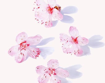 Flowering Cherry Stud Earrings, flower earrings, wedding bridal earrings, Handmade earrings, gift for her, plastic hot shrink earrings
