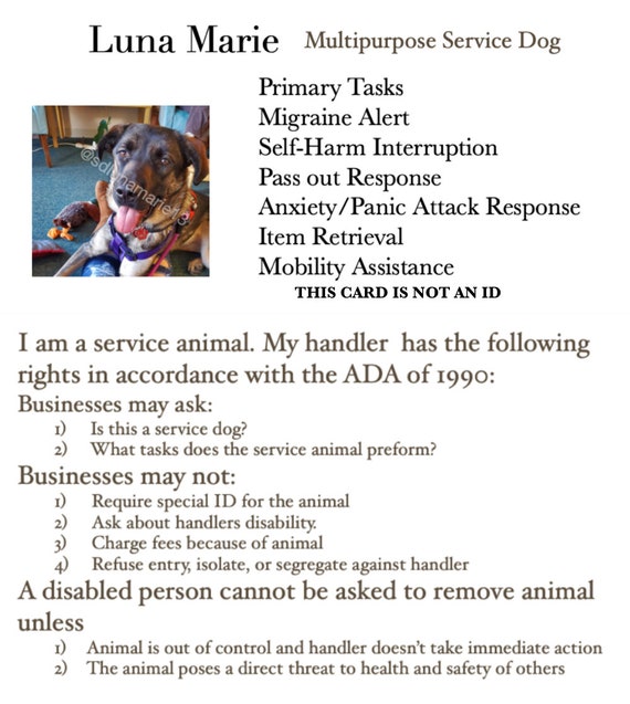 Free Printable Ada Service Dog - Il 570xN.3245399236 B3gy 