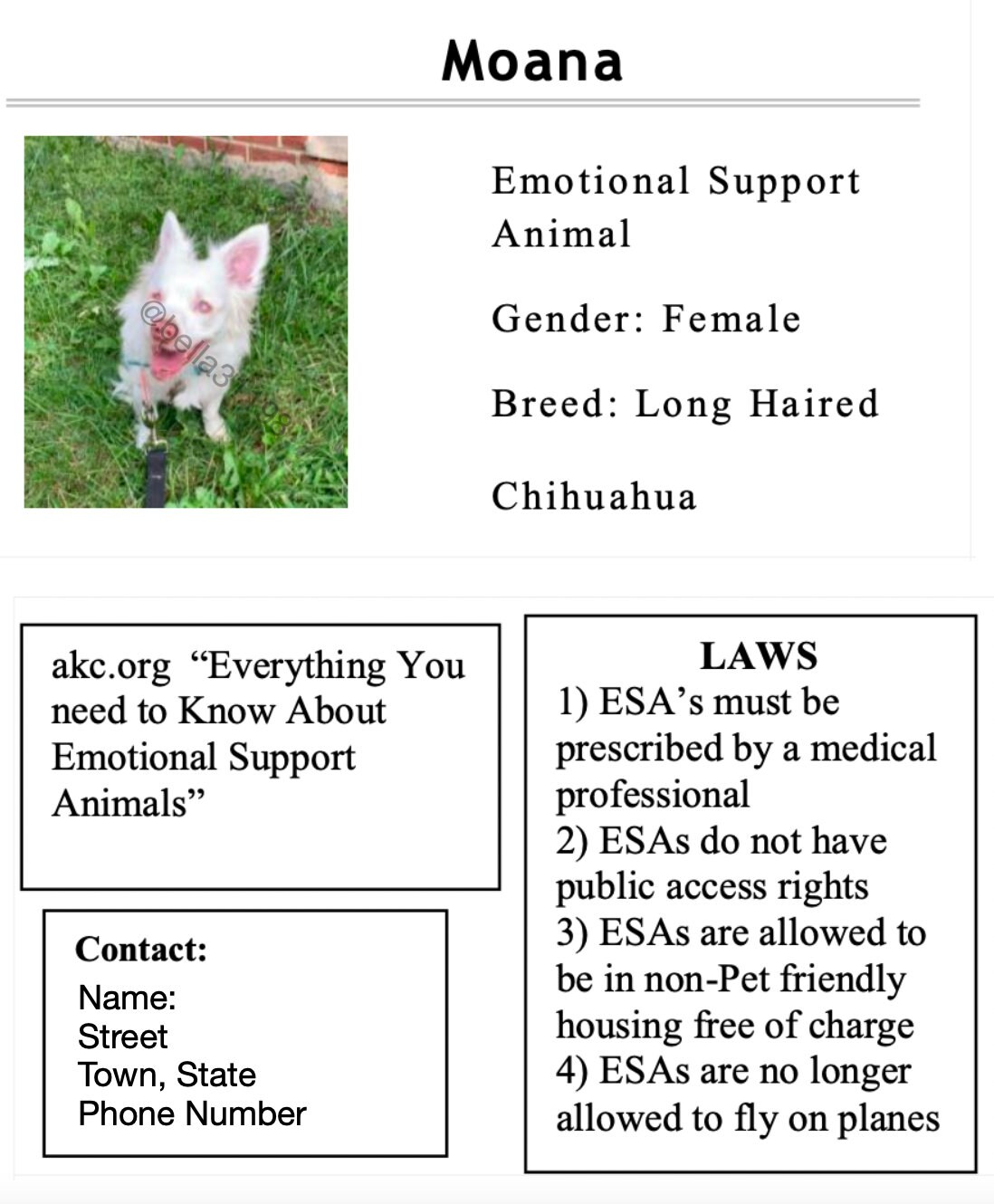 Emotional Support Animal Law Cards Etsy
