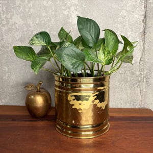 May include: A brass planter with a hammered texture holds a lush green plant with variegated leaves. A brass apple figurine sits to the left of the planter. The planter is approximately 15 cm tall.
