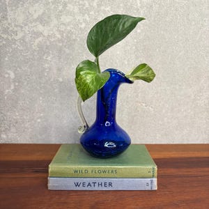 Könnte beinhalten: Eine tiefblaue Glasvase mit gebogenem Griff, die eine grüne Pflanze mit bunten Blättern enthält. Die Vase steht auf zwei Büchern, eines mit dem Titel "Wild Flowers" und das andere mit "Weather". Der Hintergrund ist eine strukturierte graue Wand.