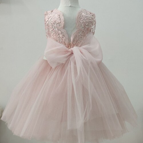 Blush Flower Girl Dress Toddler Light Pink Party Dress Blush Etsy