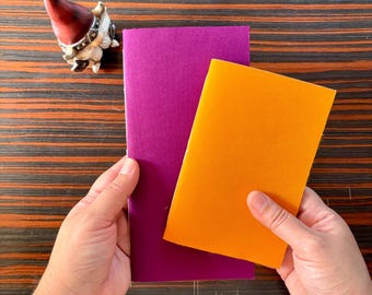 Journal Insert Refill, Fits Traveler’s Notebook Leather Cover Regular, Passport Size, Field Journal, Write, Sketch, Stamp, Paint, Pack of 2.