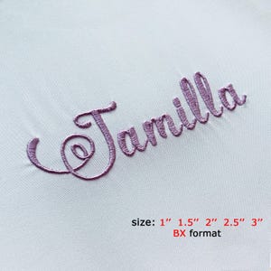 Script BX Font For Embroidery, Cursive Embroidery Font, Alphabet Embroidery, Monogram Font, BX Font, Script Embroidery, Embroidery Designs