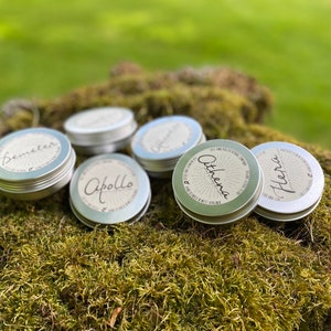 May include: Five small silver tins with labels on top. The labels have different names on them, including "Semmelweis", "Apollo", "Athena", and "Hera". The tins are sitting on a bed of green moss.