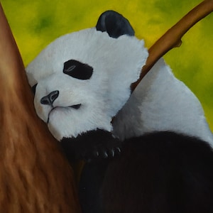 Pintura a óleo original do panda adormecido, panda fofo em um galho de árvore
