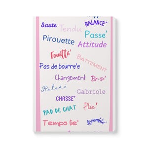 May include: A white notebook with pink vertical stripes on the left and right edges. The cover features various ballet terms printed in different colours and fonts, including Saute, Tendu, Balance, Passe, Pirouette, Attitude, Fouette, and Pas de bourre'e.