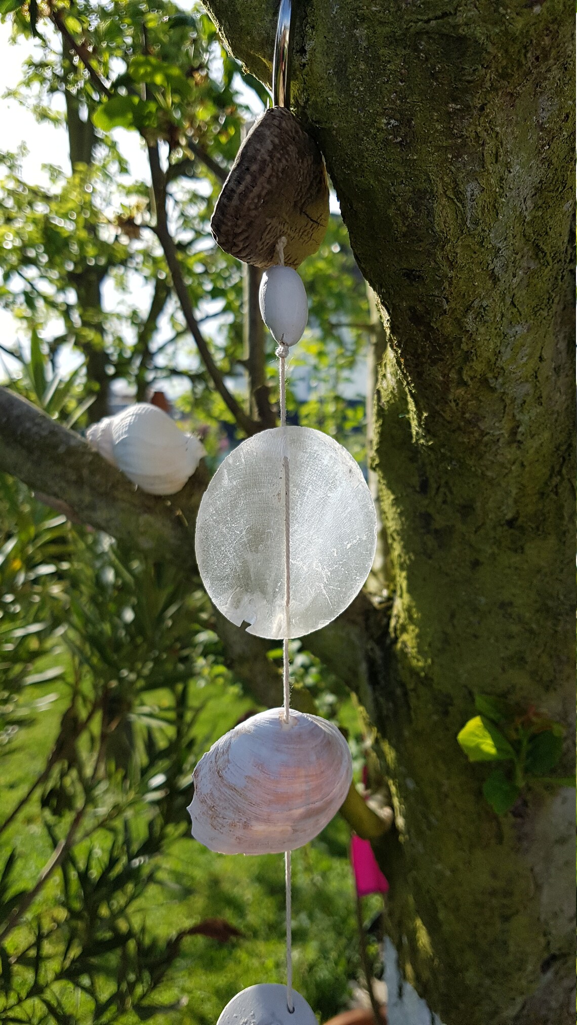 Viento chiaroso Guirnalda Puerta decoración de ventanas | Etsy