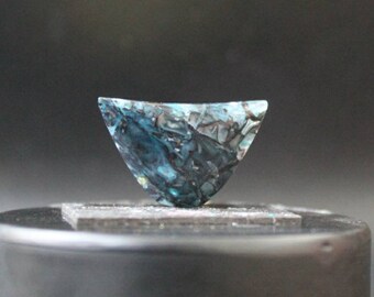 Blue opalized wood cabochon rare
