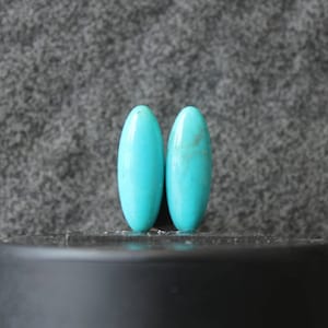 Natural Turquoise Nevada pair