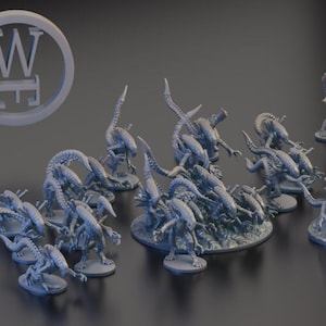 Xenos - 6-10-15mm - Wakelessrex