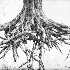 Sugar Maple 2, Sulphur Springs, incisione originale stampata a mano
