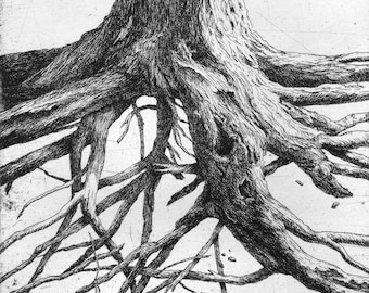 Sugar Maple 1, Original Hand-Printed Etching