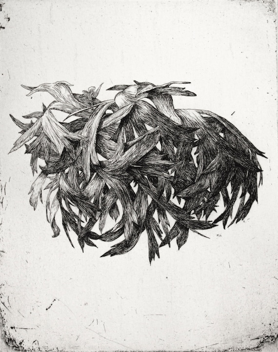 Anemone 2, Original Hand-printed Etching - Etsy