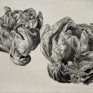 Tulipes, Gravure originale imprimée à la main