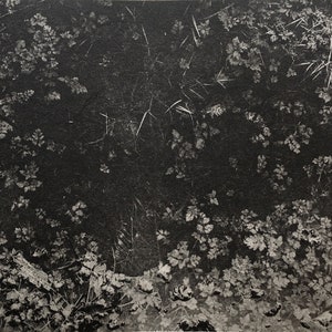 Lagune, Original handgedruckter Kupferstich und Photogravüre