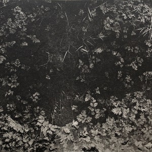 Lagoon, Original handprinted copperplate photogravure