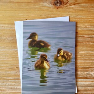 Biglietto Trio Anatroccolo / Biglietto di Pasqua Anatroccolo / Biglietto di Pasqua Anatroccolo / Biglietto con Foto Anatroccolo / Biglietto di Auguri di Pasqua Anatroccolo / Biglietto Anatroccolo Vuoto