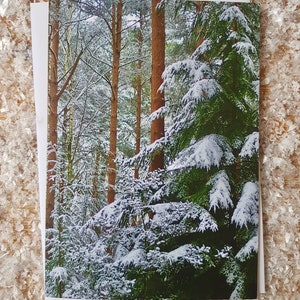 Carte de vœux de Noël fir Tree | Pack de cartes de Noël Eco | Carte de Noël photographique du paysage forestier du Royaume-Uni | Snow Scene Nature Noël Notecard