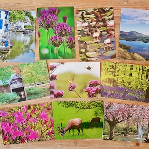 Helles Kartensortiment | Fotokarten Set | Blanko Alltägliche Grußkarten | UK Fotografie 10 Karte Multipack | Umweltfreundliche Notizkarten
