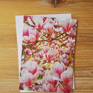 Magnolia Bloom Greeting Card | Pusta kwiatowa fotograficzna kartka z notatkami | Oryginalna brytyjska fotograficzna kartka z notatkami | Ekologiczna magnolia ślubna