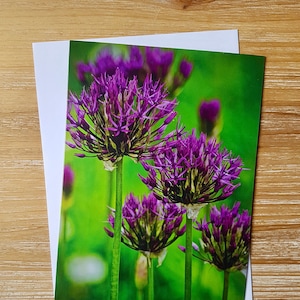 Carte de vœux Allium violette | Carte de sympathie photographique florale | UK Flower Photography Everyday Notecard | Allium Blank Thank You Notelet