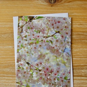 Buzzing Blossom Karte | Fotografische Kartenpackung | Blanko Grußkarte | UK Blumen Fotografie Grußkarte | Blüten-Baum-Hochzeits-Karte