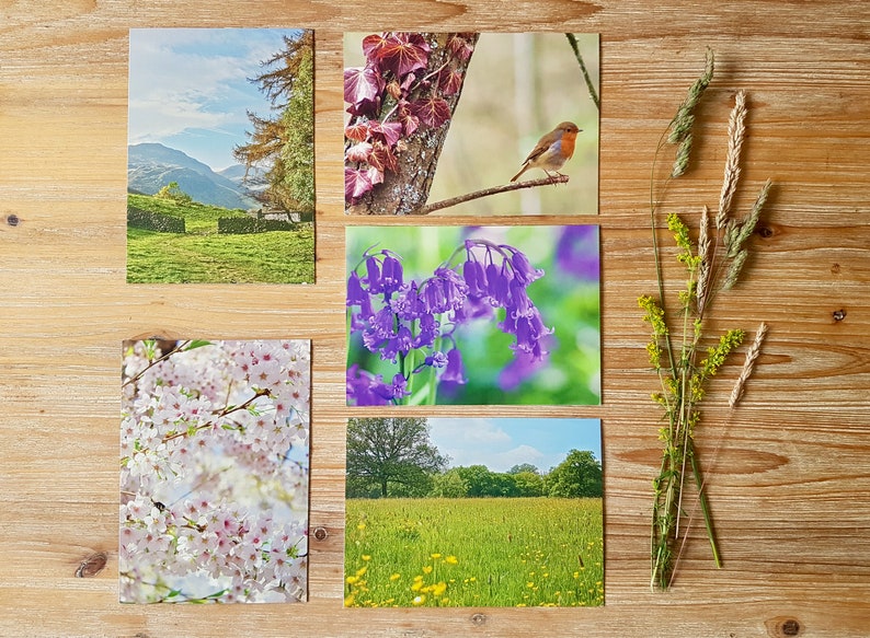 May include: Five postcards featuring nature scenes. The first postcard shows a mountain range with a green field in the foreground. The second postcard shows a robin perched on a branch. The third postcard shows a close-up of purple bluebells. The fourth postcard shows a field of white cherry blossoms. The fifth postcard shows a field of green grass with yellow wildflowers.