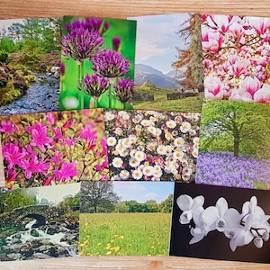 Pacote de cartas Misture e Combine | Escolha seu próprio conjunto de seleção de cartas | Variedade fotográfica feita sob encomenda de Notecard | Escolha qualquer pacote múltiplo de 5 cartões comemorativos
