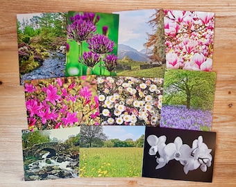 Mix & Match Card Bundle | Pick Your Own Card Selection Set | Custom Photographic Notecard Assortment | Choose Any 5 Greeting Cards Multipack