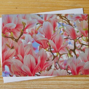 Frühlingsmagnolie Karte | Floral Fotokartenpaket | Blanko Grußkarte | UK Blumen Fotografie Grußkarte | Magnolie Hochzeitskarte