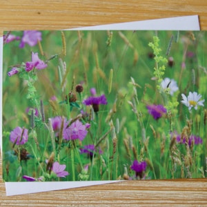 Summer Meadow Card / Floral Photographic Card Pack / Blank Everyday Greeting Card / UK Flower Photography Notecard / English Countryside