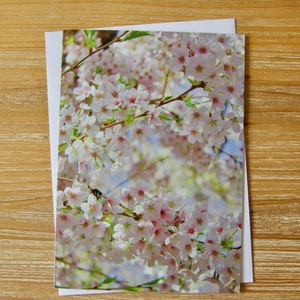 May include: A close-up image of a branch of pink cherry blossoms in full bloom. The flowers are delicate and soft, with a light pink hue. The background is a soft blue sky.