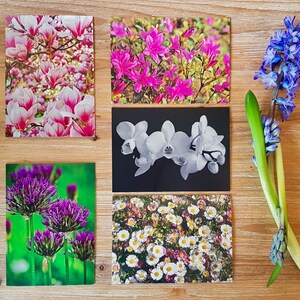 Blumenkarten-Kollektion | Fotokarten Set | Blanko Grußkarten für jeden Tag | UK Blumen Fotografie Karten Pack | Umweltfreundliche Grußkarten