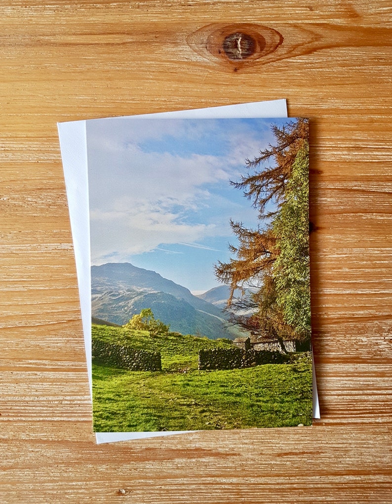 May include: A greeting card featuring a photograph of a green grassy field with a stone wall and a tree in the background. The sky is blue with white clouds.