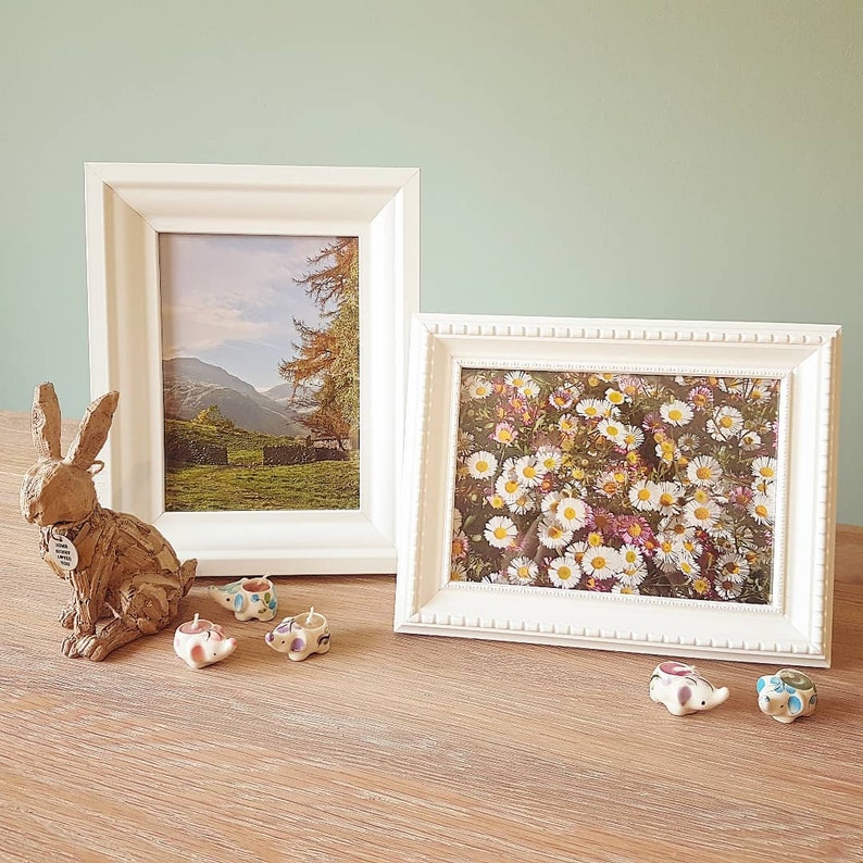 May include: Two white picture frames with different landscape photos. The frame on the left has a photo of a mountain range with trees in the foreground. The frame on the right has a photo of a field of white flowers. There are five small ceramic elephants on a wooden table.