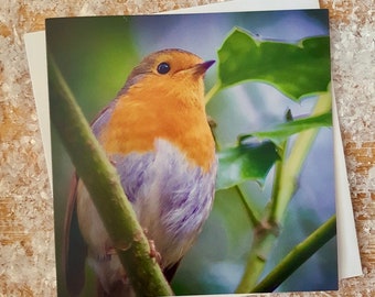 Robin & Holly Christmas Card | Eco Friendly Xmas Cards | UK Wildlife Photographic Xmas Card | Robin Christmas Card Pack | Nature Photography