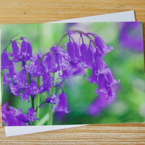 Engelse Bluebell-kaart | Lege fotokaart | Bluebell-wenskaart voor moeder | Bluebell-fotografie Notitiekaart | Bluebell-verjaardagskaart VK
