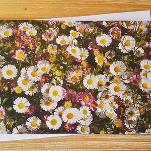Tarjeta de felicitación Daisy Patch / Tarjeta fotográfica floral diaria / Tarjeta de notas de fotografía de flores en blanco del Reino Unido / Tarjeta personalizada Get Well Soon Daisies